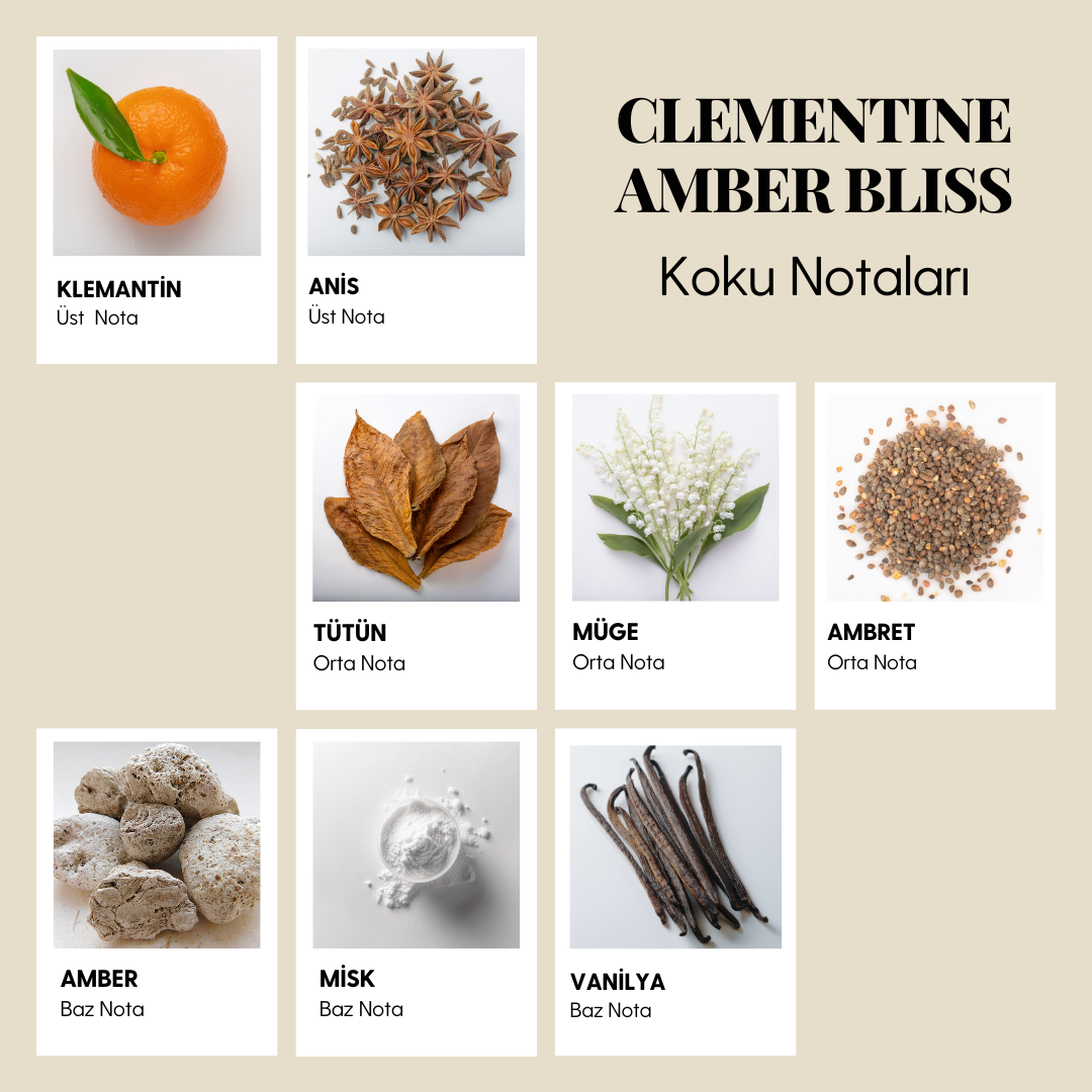 CLEMENTINE & AMBER BLISS