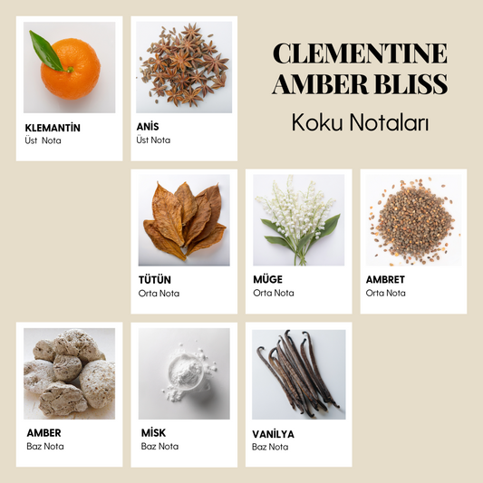 CLEMENTINE & AMBER BLISS