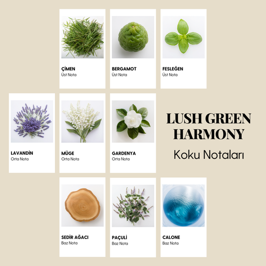 LUSH GREEN HARMONY