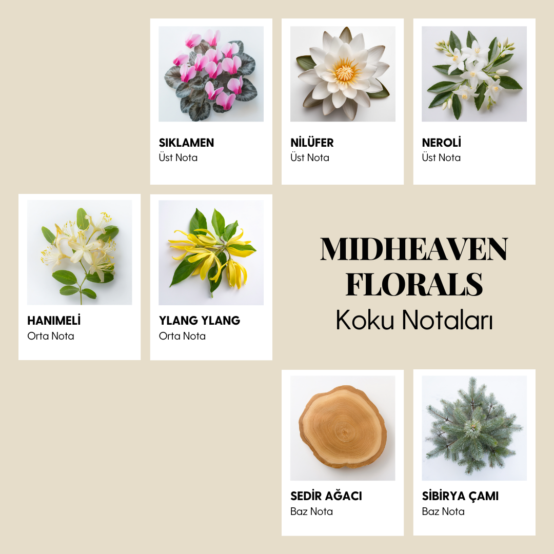 MIDHEAVEN FLORALS